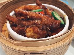 -千灯盛汇·头牌粤菜(致越优城店)