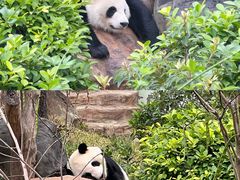 -南宁市动物园