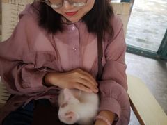 -喵屿·大理花园猫咖