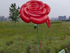 -汉江湾体育公园