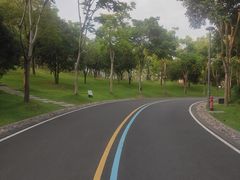 -牛岗山公园