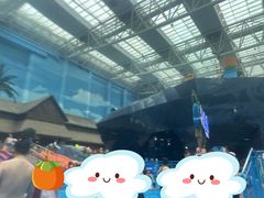 -青岛东方影都融创水世界