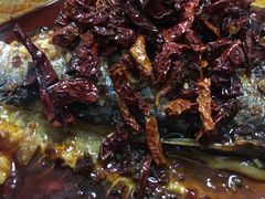 -探鱼·鲜青椒爽麻烤鱼(增城东汇城店)