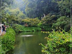 -岳麓山风景名胜区