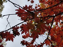 -本溪老边沟风景区