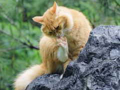 -广州市石门国家森林公园