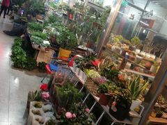 -宝鸡东道花鸟鱼虫市场(吉利花园商场店)