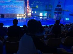 -华夏文旅海洋公园