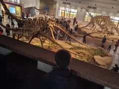 -自贡恐龙博物馆