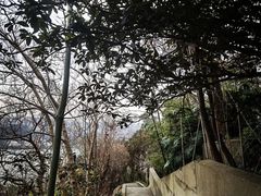 -焦山风景区