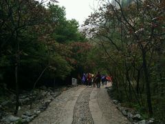 -十渡东湖港风景区