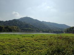 -风云岭森林公园