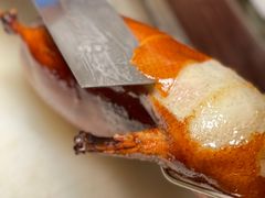 -上海和平饭店龙凤厅 Dragon Phoenix