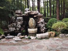 -上海醉白池公园