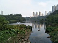 -重庆彩云湖湿地公园