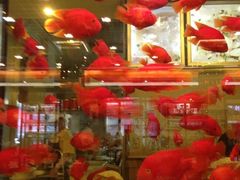-鸿瑞興面馆(梅岭店)