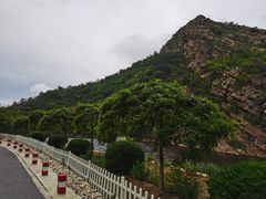 -金龙寺国家森林公园