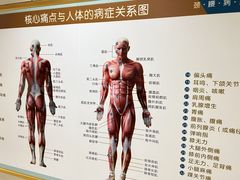 -通透堂中医·精准推拿(旗舰店)