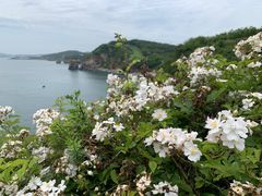 -大连金石滩滨海国家地质公园