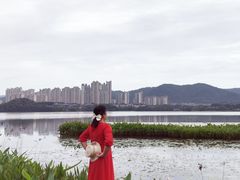 -梅溪湖城市岛