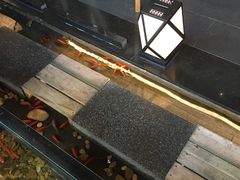 -颐和•海鲜砂锅粥•啫啫煲(奥林匹克广场店)