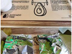 芝士酱-油梨树AVOCADO TREE(望京店)
