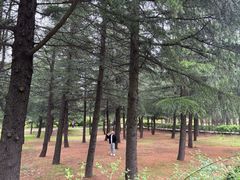 -宝鸡植物园