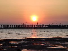 -宝安西湾红树林湿地公园