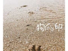 -枸杞岛