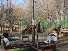 -圣露庄园·露营·烤肉·亲子