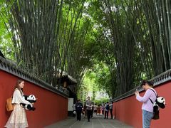 -成都太古里IFS国金中心亚朵X酒店
