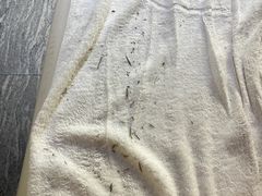 -碧水豪园·足浴·SPA·汗蒸·那须汤泉(中山东路店)