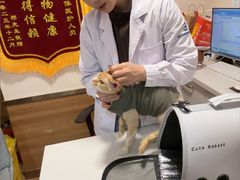 -瑞派·关忠动物医院·异宠专科·犬猫肿瘤·皮肤专科(望京店)