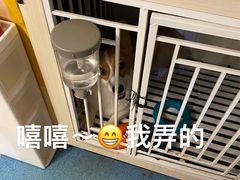 -瑞派动物医院·猫专科·至诚(江南中分院)