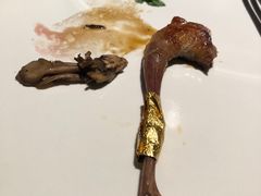 -觀芷隐轩