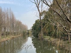 -上海滨江森林公园