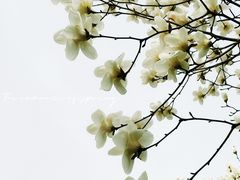 -睦南公园