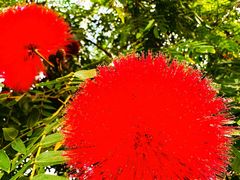 -北京植物园-展览温室