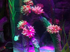 -沈阳海洋探索中心