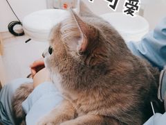-谐和贝康宠物医院24小时·宠保定点(急重症转诊中心)
