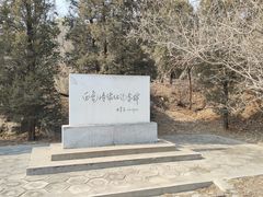 -白水寺森林公园