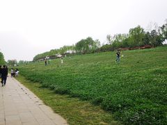 -洨河生态公园