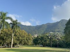 -深圳仙湖植物园