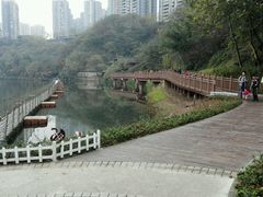 -重庆彩云湖湿地公园