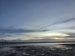 -宝安西湾红树林湿地公园