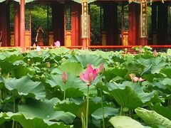 -国家植物园南园