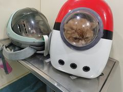 -荣耀金沙动物医院(清江西路店)