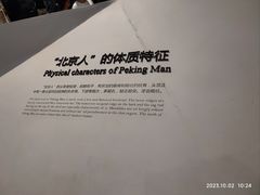 -北京周口店北京人遗址博物馆