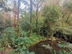 -广州市白云山风景名胜区