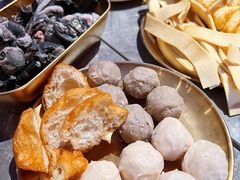 -Darling Queen·Mini·Live·House